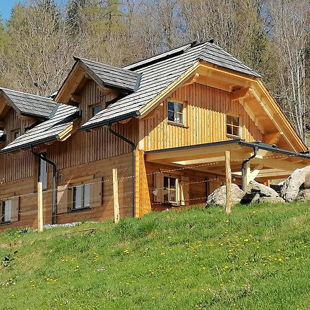 Laerchenhaus ,,Unterer Brodl" Vila Sankt Peter am Kammersberg Exterior foto