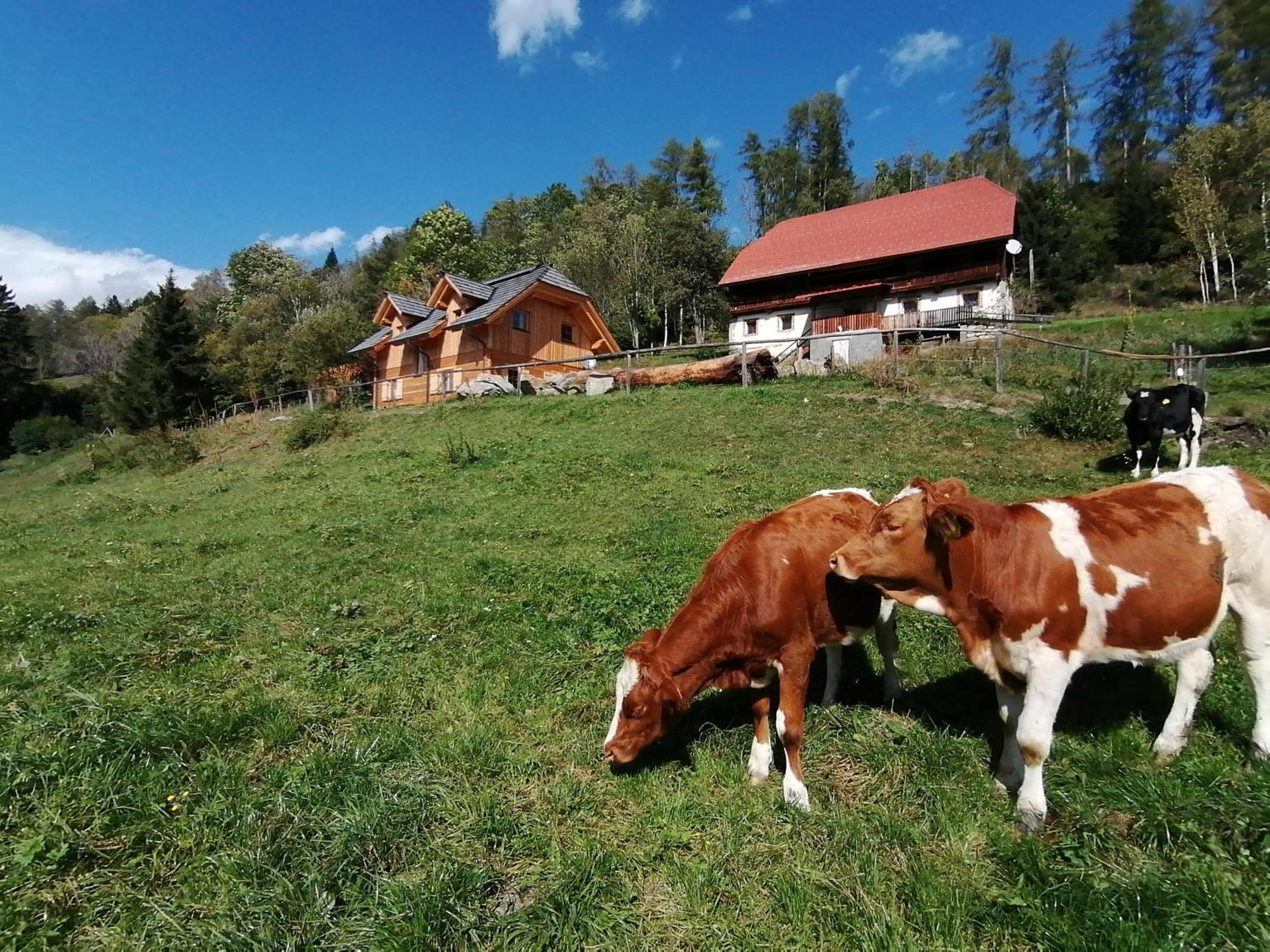 Laerchenhaus ,,Unterer Brodl" Vila Sankt Peter am Kammersberg Exterior foto