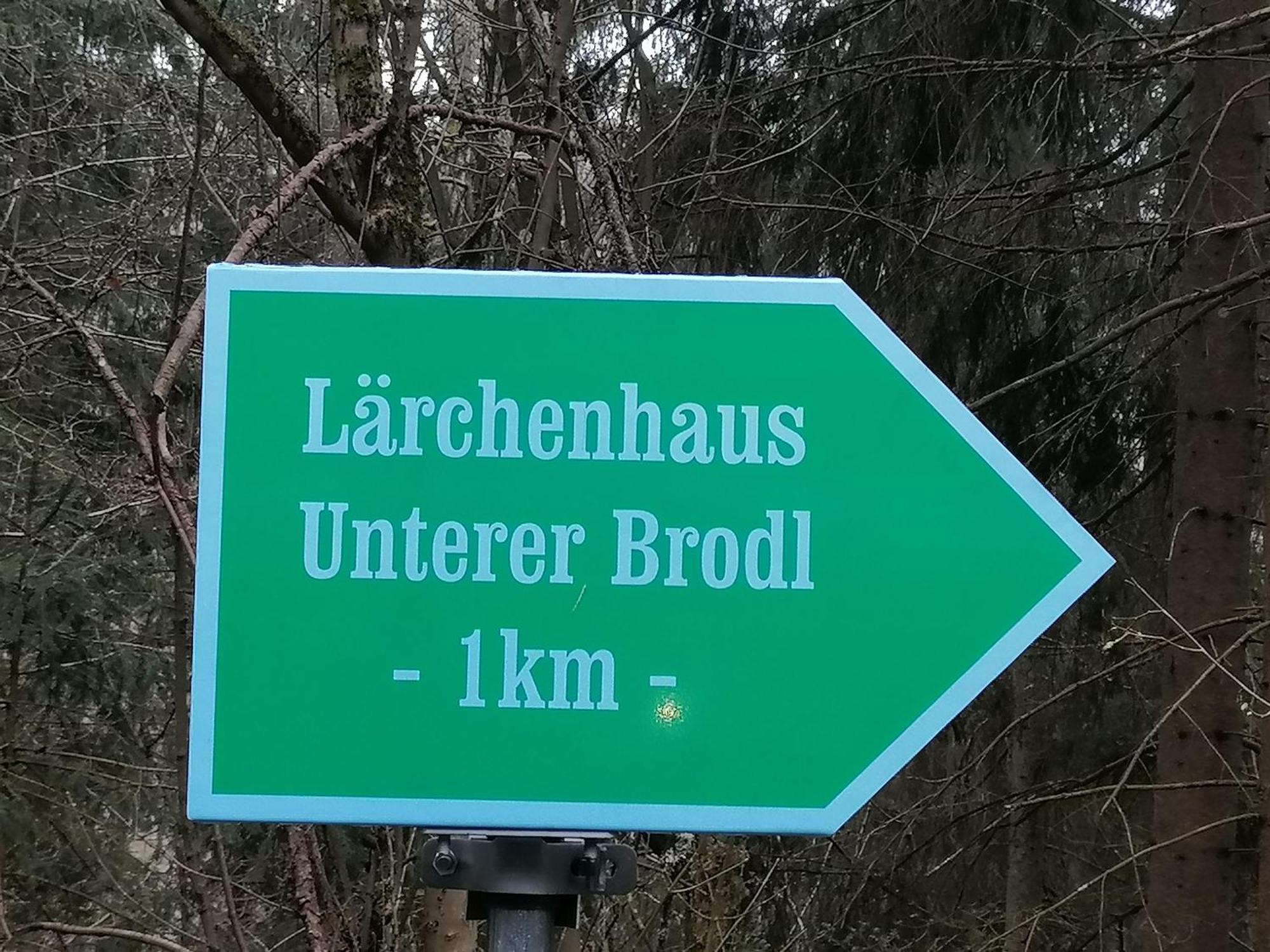 Laerchenhaus ,,Unterer Brodl" Vila Sankt Peter am Kammersberg Exterior foto