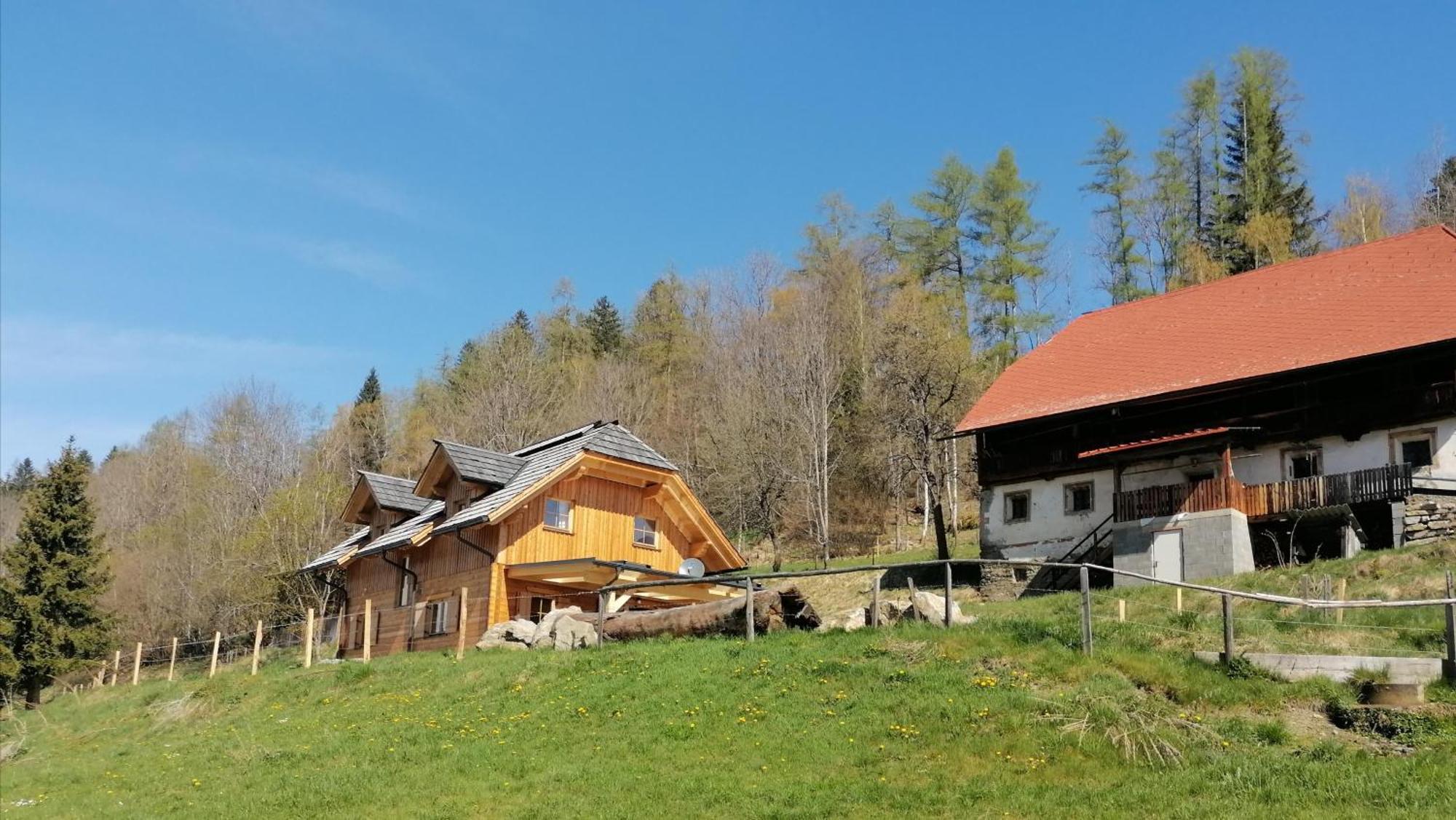 Laerchenhaus ,,Unterer Brodl" Vila Sankt Peter am Kammersberg Exterior foto