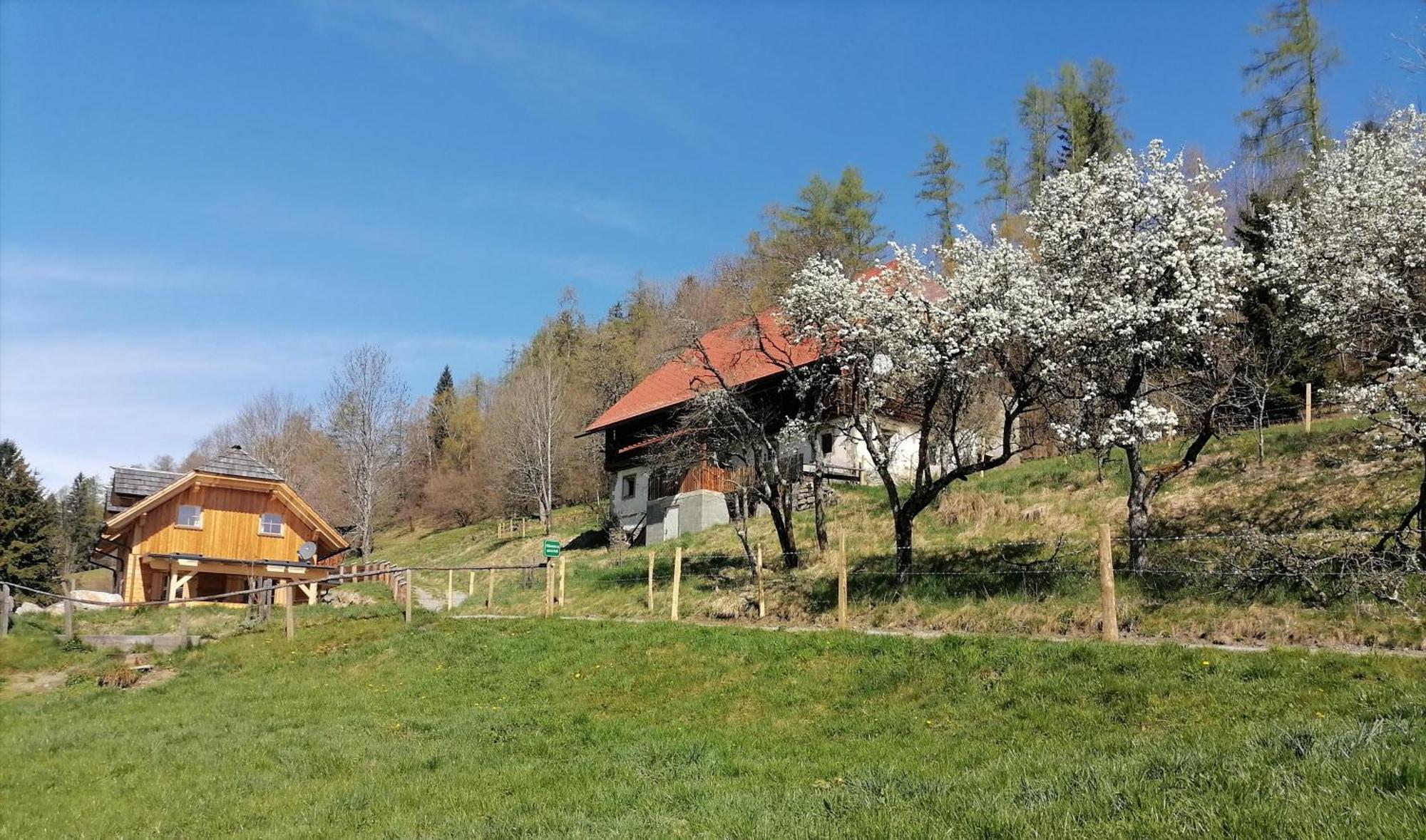 Laerchenhaus ,,Unterer Brodl" Vila Sankt Peter am Kammersberg Exterior foto