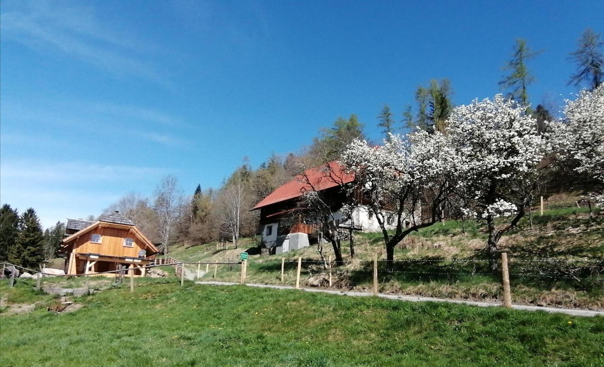 Laerchenhaus ,,Unterer Brodl" Vila Sankt Peter am Kammersberg Exterior foto