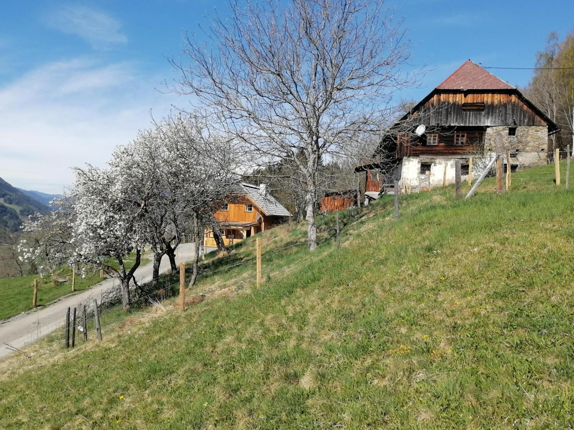Laerchenhaus ,,Unterer Brodl" Vila Sankt Peter am Kammersberg Exterior foto