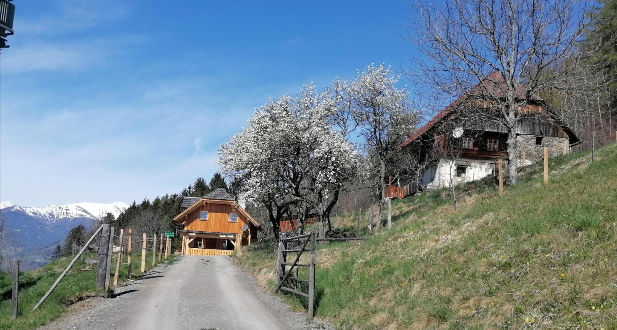 Laerchenhaus ,,Unterer Brodl" Vila Sankt Peter am Kammersberg Exterior foto