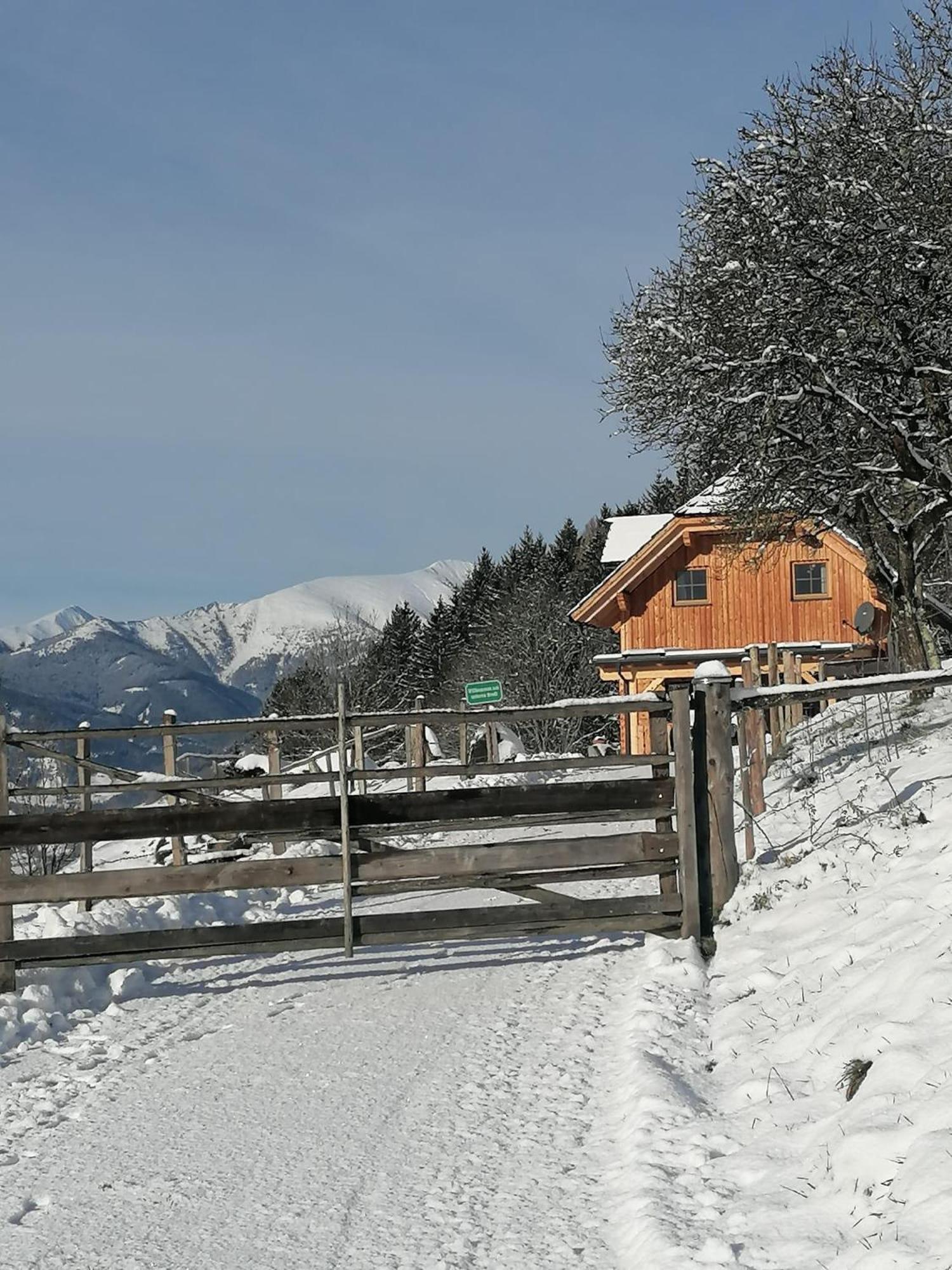 Laerchenhaus ,,Unterer Brodl" Vila Sankt Peter am Kammersberg Exterior foto