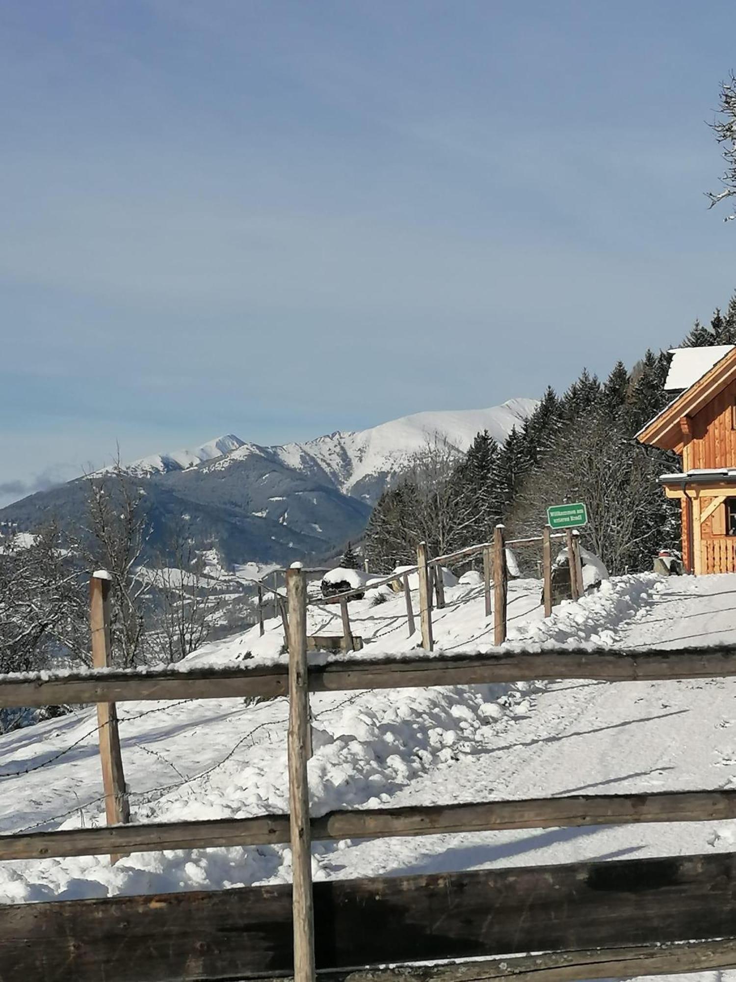 Laerchenhaus ,,Unterer Brodl" Vila Sankt Peter am Kammersberg Exterior foto